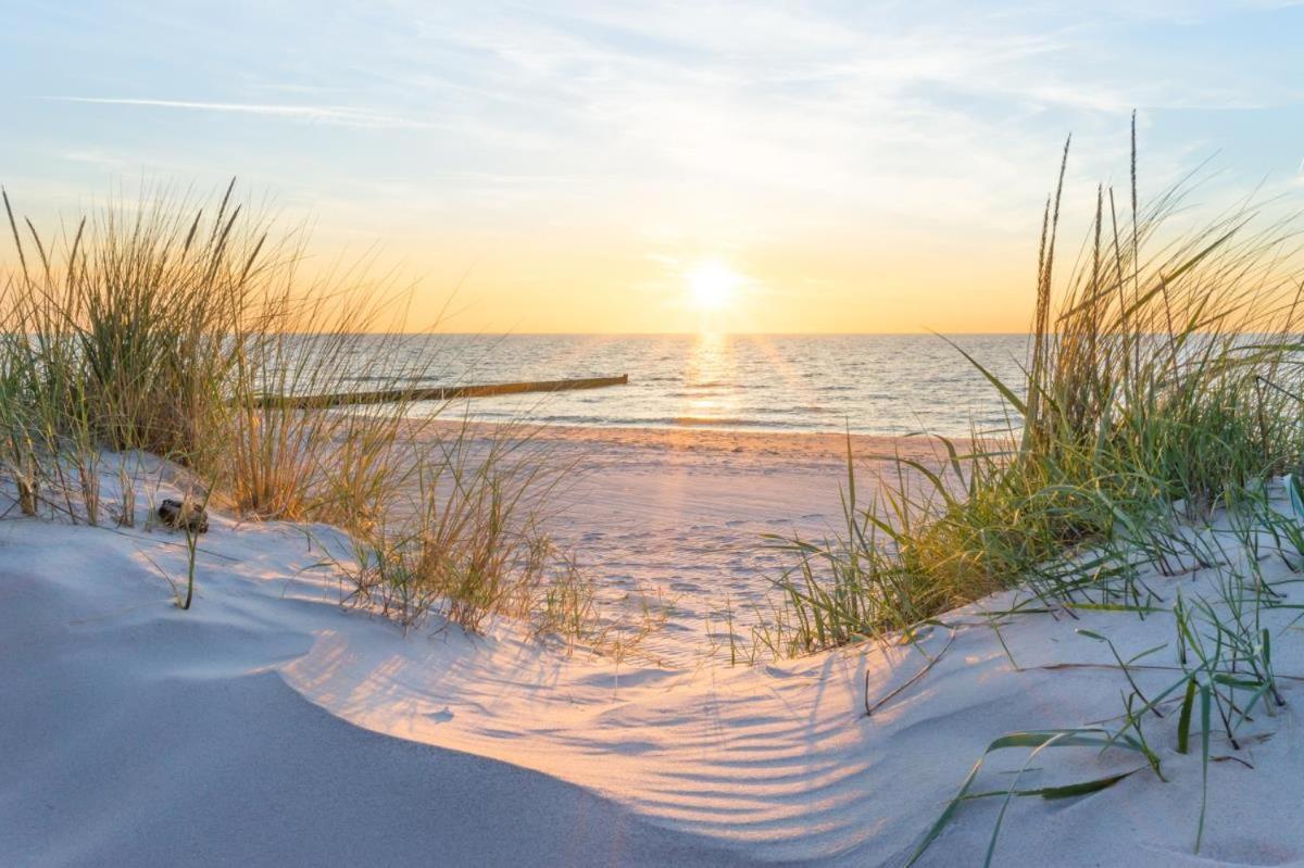 Beach, Ca 150 M Zum Apartment Rostock